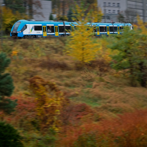 Pasażerowie dybią na rydza